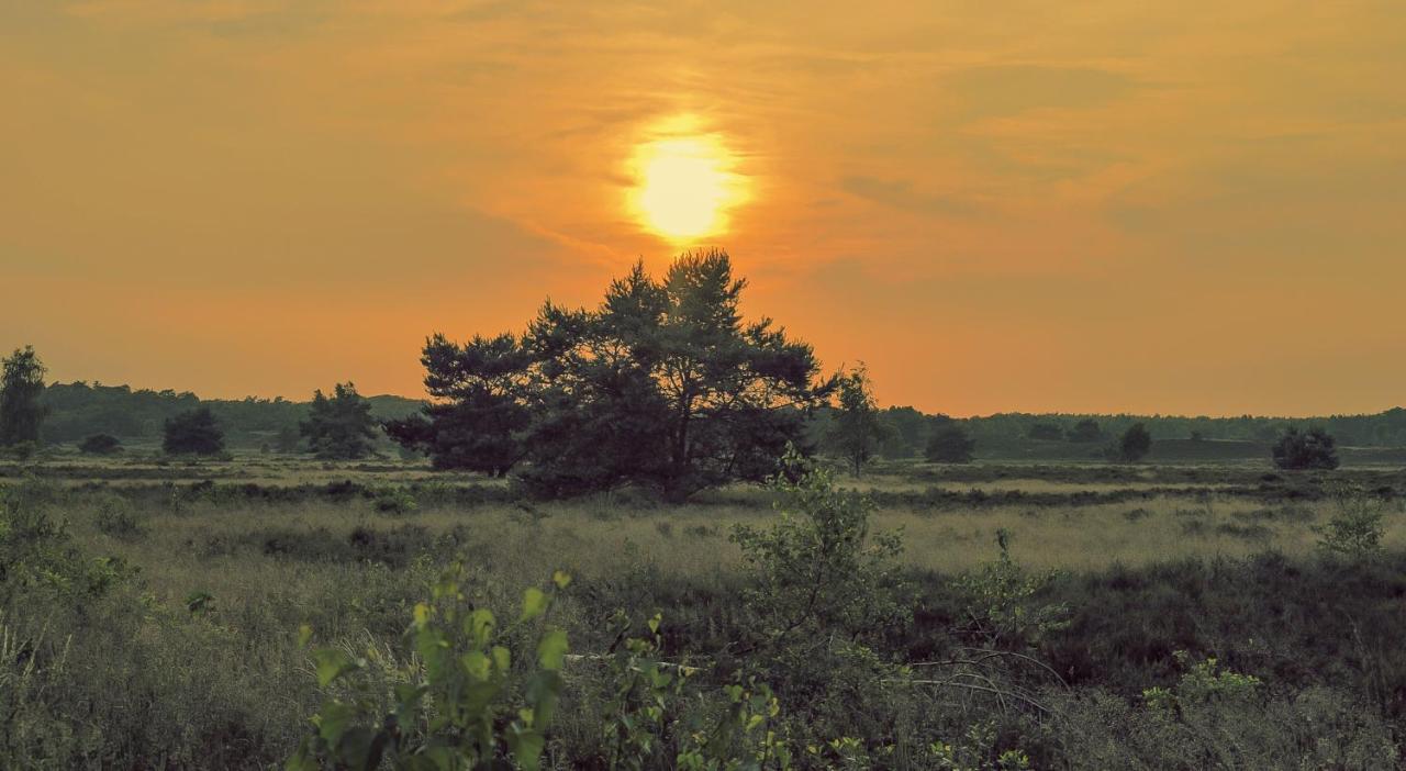 Lodge Goudvink Nunspeet Veluwe Luaran gambar